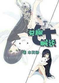 (全職高手同人)榮耀女解說