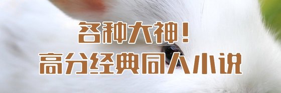各種大神！高分經典同人小說